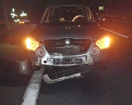 Кола се заби в стадо диви прасета на Тракия