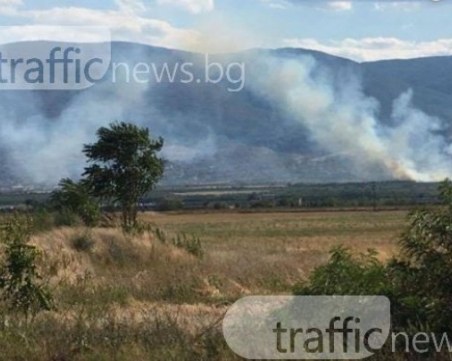 Пожар край Пловдив! Царевичен масив горя в Съединение