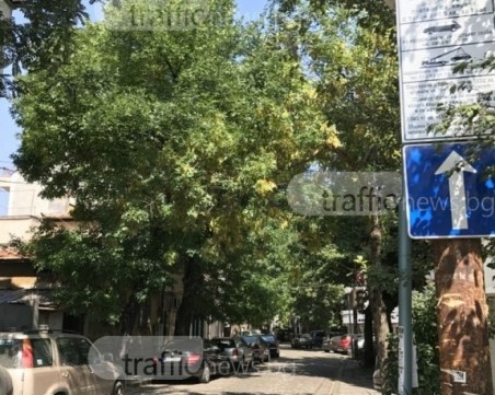 Ще дават пропуски за безплатно спиране в Синя зона и на пловдивчани, живеещи на съседни улици