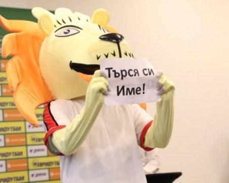 Лъв уплаши петлите и прекъсна пресконференцията на Петър Хубчев ВИДЕО