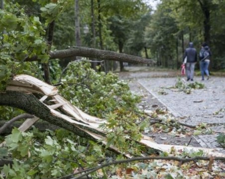 Опустошителна буря в Германия взе още шест жертви
