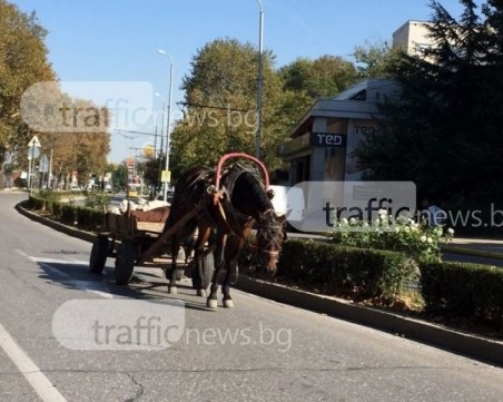 Пиян каруцар предизвика тежка катастрофа