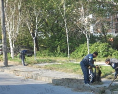Предлагат замяна на глоби с общественополезен труд