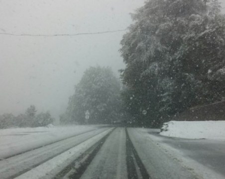 33 сантиметра сняг натрупа, валежите продължават