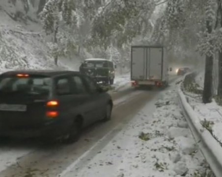 Десетки закъсали на Петрохан, снегът събори дървета СНИМКИ