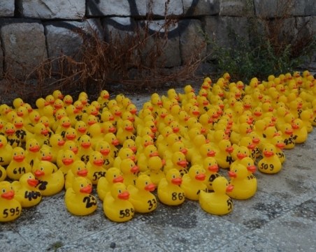 Заради лошото време: Отменят състезанието с патета в река Марица