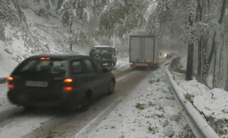 Десетки закъсали на Петрохан, снегът събори дървета СНИМКИ