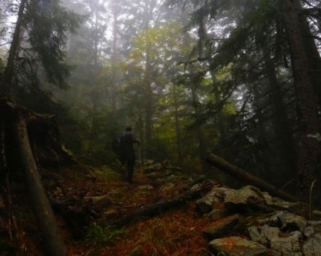Ловци се загубиха в гората! След двудневна спасителна акция вече са си вкъщи