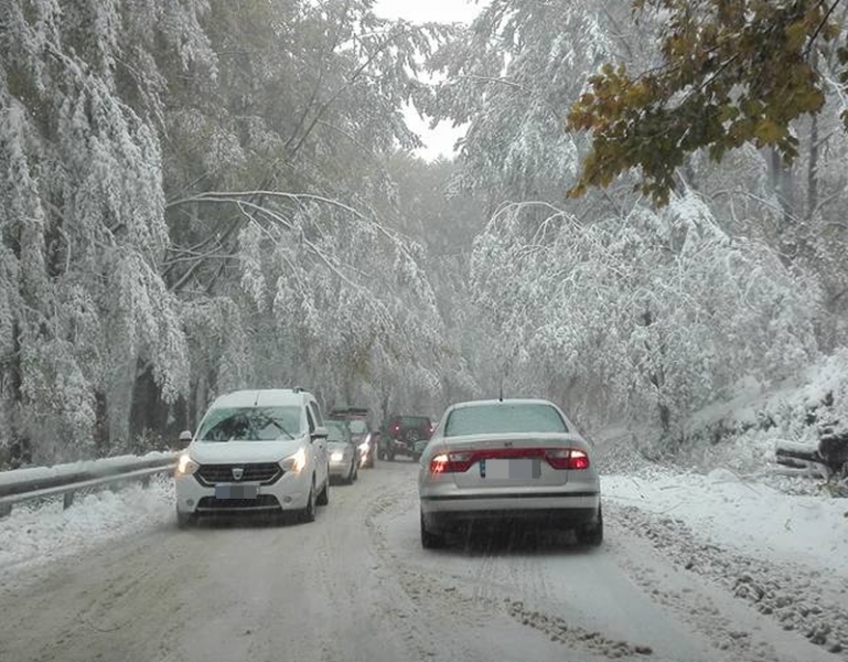 Сняг и паднали дървета блокираха пътища, вижте откъде не може да се мине СНИМКИ