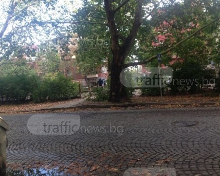 Как да пресекат пловдивчани? Знак има, маркировка - не СНИМКИ