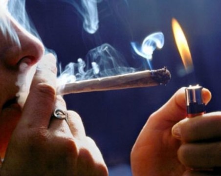 Акция срещу наркотици! Откриха дрога в три къщи в Пазарджишко