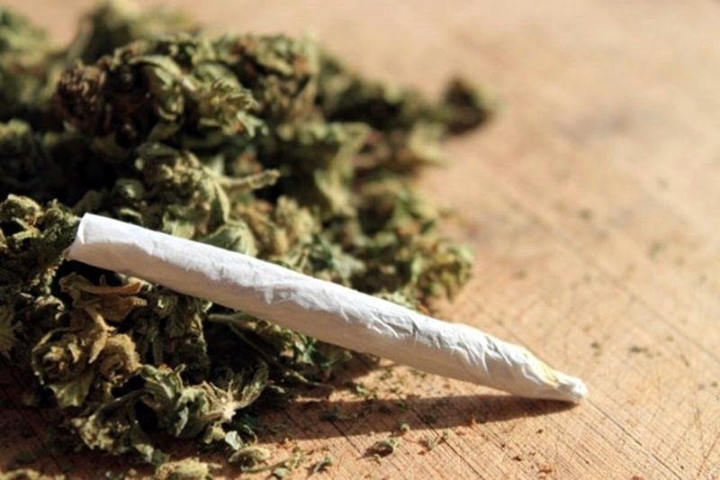 Дилъри продавали марихуана в магазин в Пловдивско, отнесоха условни присъди