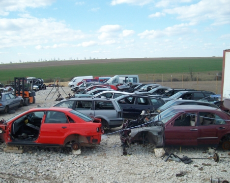 Семейна вражда: Ливанец твърди, че е пребит от братята си с бухалка край Асеновград