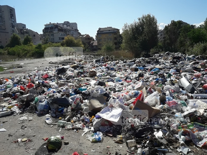 Сметищни пейзажи от Пловдив - боклуци и воня загрозяват града СНИМКИ