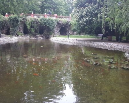 Тревомани си 