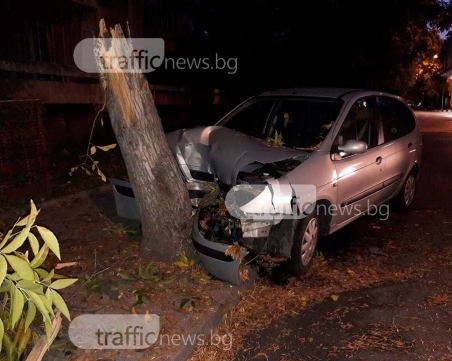 Зверски удар: Шофьор се заби в дърво в Кючука СНИМКИ