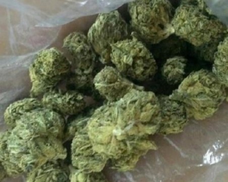 Производителите на марихуана и хашиш арестувани в Храбрино