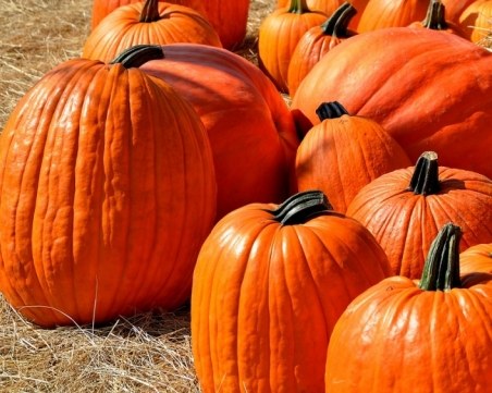 Силата на тиквата: открийте скритите ползи за вашето здраве