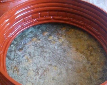 Конфискуваха тон и половина маслини със съмнителен произход в Пазарджик