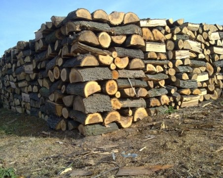 Лоши новини: Дървата за огрев поскъпват, доставките се бавят