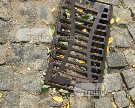 Започва акцията против гризачи в Пловдив, не паркирайте до шахти