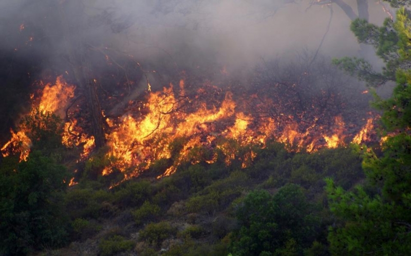 Огненият ад в Испания и Португалия взе жертви