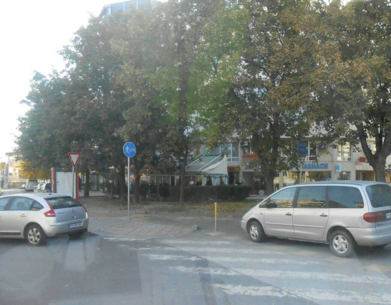 Ван запуши велоалея, паякът веднага го улови в мрежата си СНИМКИ