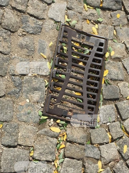 Започва акцията против гризачи в Пловдив, не паркирайте до шахти