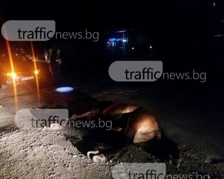 78-годишен е пострадалият каруцар от катастрофата край Ягодово, каруцата – без сигнализация