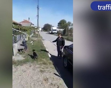 Арестуваха мъж, който тренира бойното си куче с “жива стръв“ - малко коте ВИДЕО