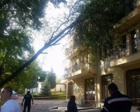 Голям клон  падна върху хотел в Хисаря