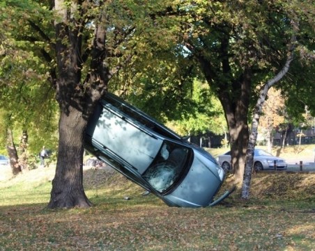 “Каскадьор“  се приземи на ...фара си  в градски парк СНИМКИ