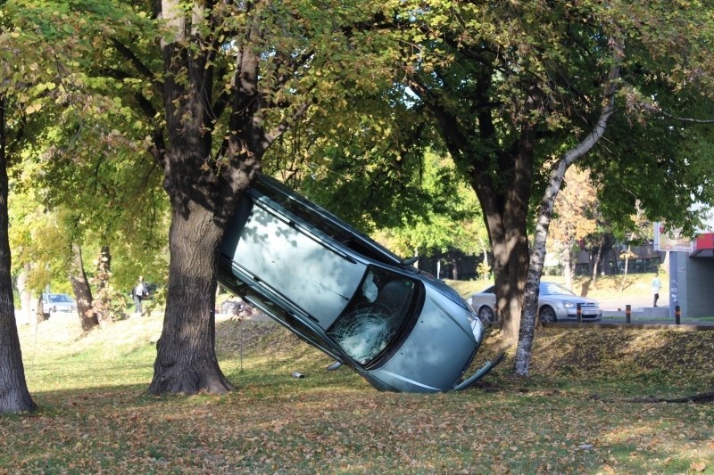 Каскадьорът от парка е заловен от полицията! Мъжът е неправоспособен СНИМКИ