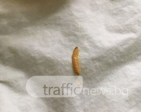 Детска кухня в Кючука предлага на бебета пюре с… мезе