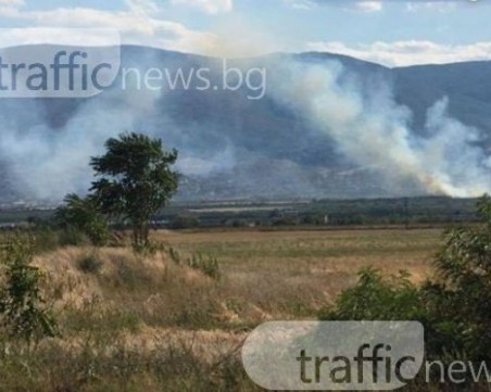 Пожар нанесе щети за 20 000 лева в Калояново