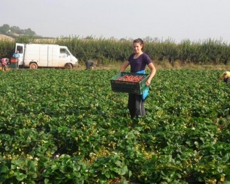 Българите в чужбина вече с по-високи заплати