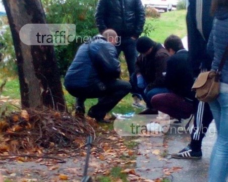 Двама са арестувани при акцията в Тракия, криминалисти тестват съдържанието на пликове за наркотици СНИМКИ и ВИДЕО