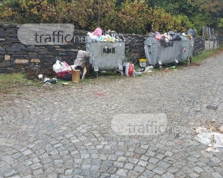 Контейнери преливат край Пловдив, кучета разнасят боклука СНИМКИ
