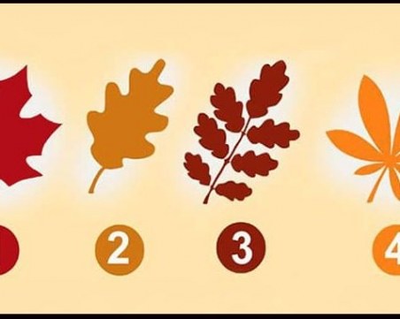 Любовен тест: Изберете си едно от листата и открийте какъв партньор сте!