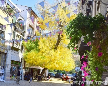 Спиращи дъха СНИМКИ, показват есенната красота на Пловдив