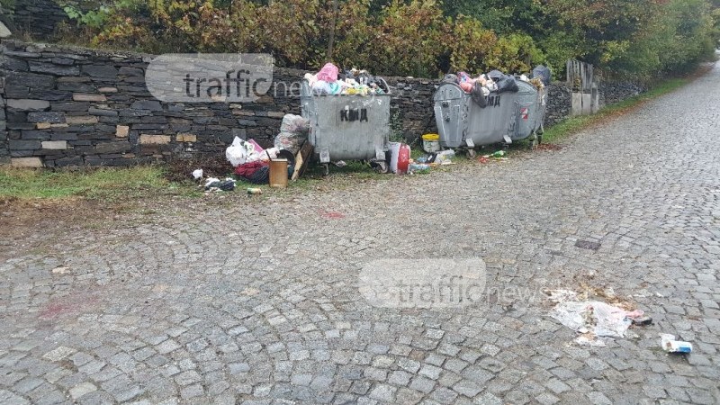Контейнери преливат край Пловдив, кучета разнасят боклука СНИМКИ