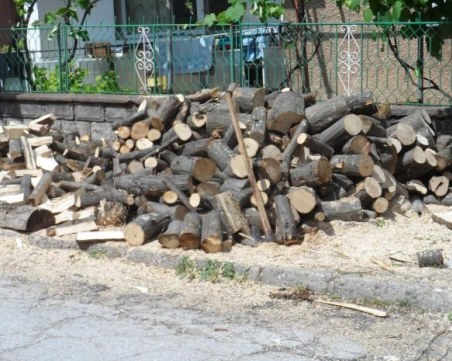 Нагла измама в пловдивско село: Мъж обеща да купи дърва на две баби, а отмъкна парите