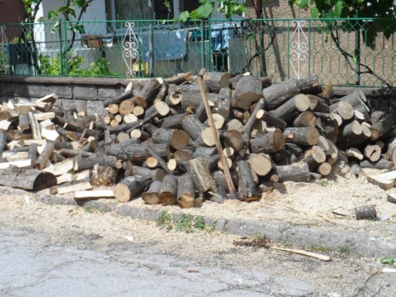 Нагла измама в пловдивско село: Мъж обеща да купи дърва на две баби, а отмъкна парите