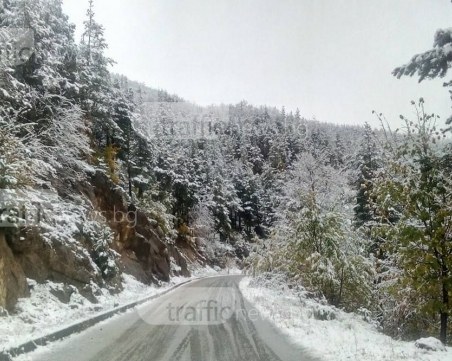 Родопите се премениха с бяла пелена СНИМКИ