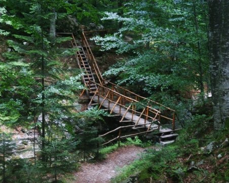 Добър пример: Доброволци почистиха туристически пътеки в Стара планина
