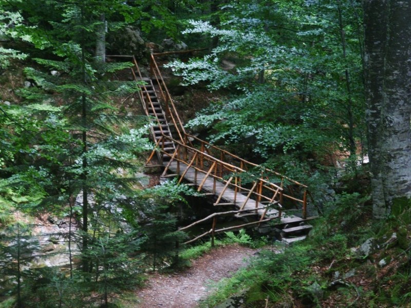 Добър пример: Доброволци почистиха туристически пътеки в Стара планина
