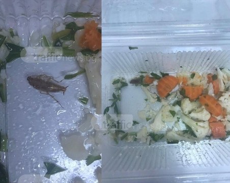 Мъртва хлебарка в салата разстрои пловдивчанка СНИМКИ