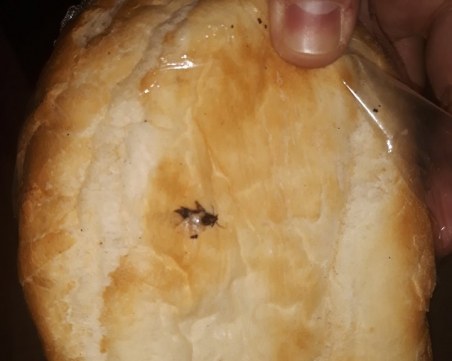 Муха в сандвич от нон стоп уби апетита на пловдивчанка СНИМКИ