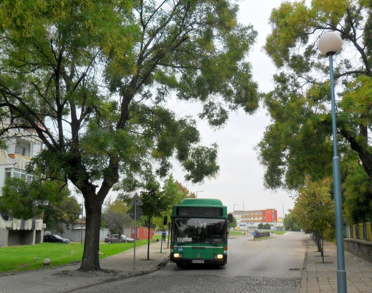 Затварят част от улица 