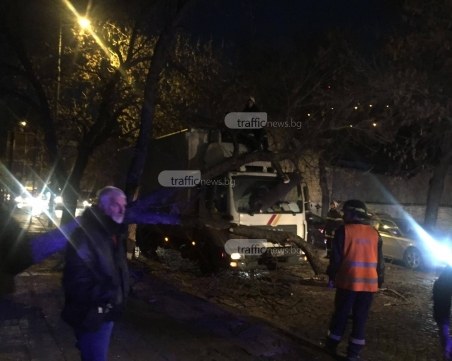 Дърво се стовари върху камион в Пловдив, булевард се задръсти СНИМКИ
